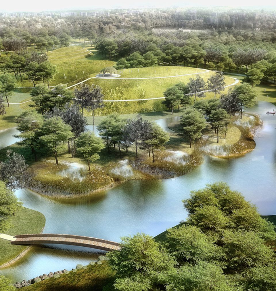 Design for a new forest park aims to regenerate border town