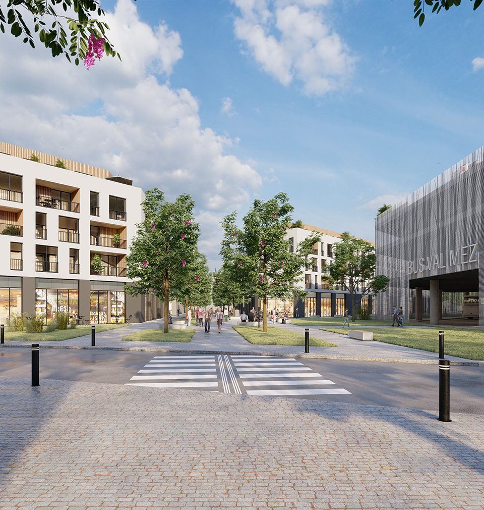 We win second place in competition for sawmill regeneration